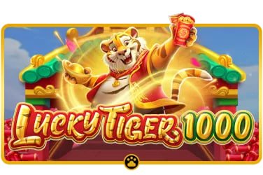 xr88 Live Casino
